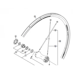 1 Rayon SHIMANO WH-R550 Avant Y4BE98130 286mm -Promos Vélo Boutique 1 rayon shimano wh r550 avant y4be98130 286mm 1